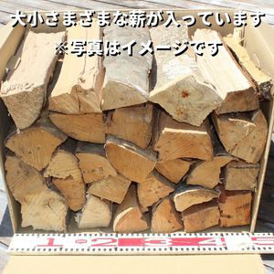 黒潮薪 5箱 約85kg アウトドア キャンプ まき 薪 焚き火 たき火  木 広葉樹 ストーブ 暖炉 バーベキュー 木材 シイ カシ 冬 国産 備蓄 災害備品 防災 備蓄用 高知県 安芸市