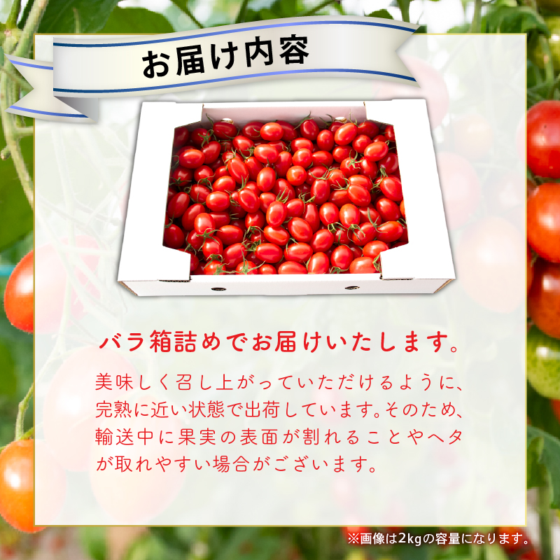 【先行予約】 ハッピートマト 3kg トマト フルーツトマト 野菜 糖度 とまと