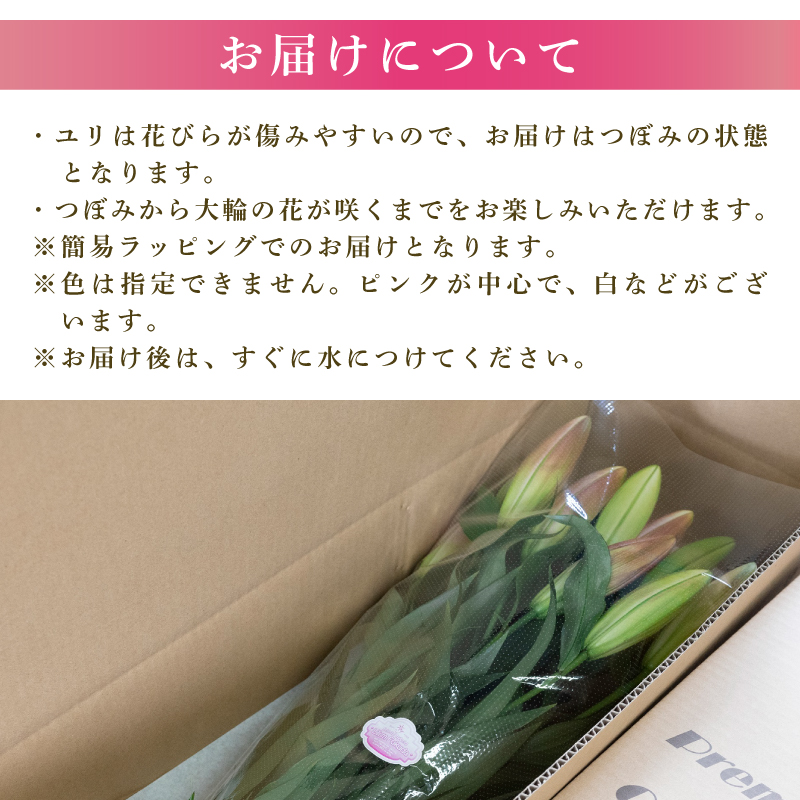 定期便4回 ユリ オリエンタルリリー 5本