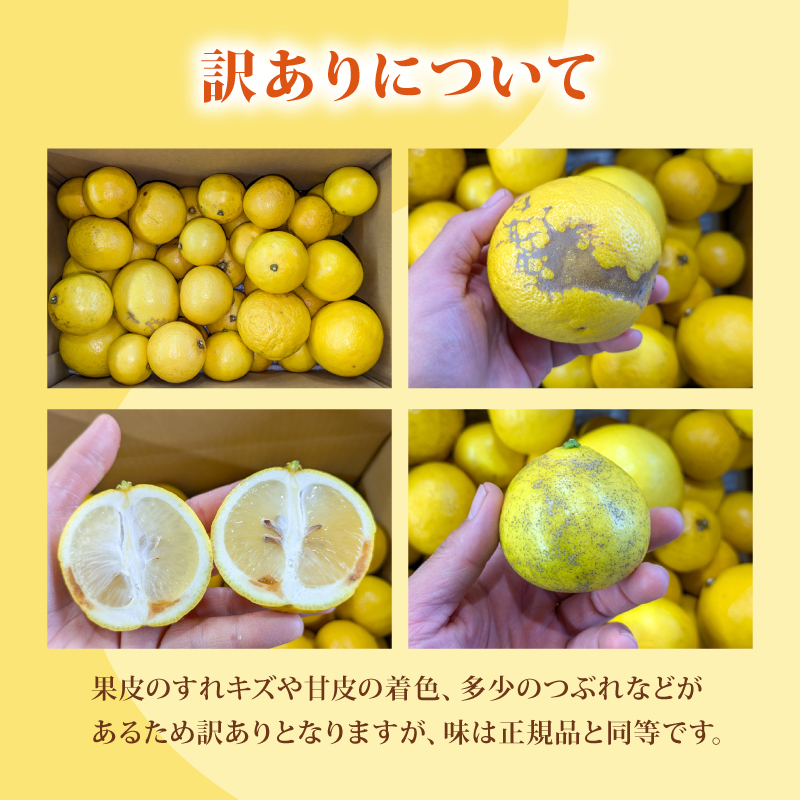 【先行受付】 訳あり メリーガーデンの小夏 5kg 家庭用 フルーツ 果物 みかん 期間限定 柑橘 日向夏 ニューサマーオレンジ