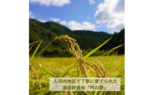 安芸虎純米吟醸ライト・安芸虎純米吟醸入河内セット 720ml 2本セット 日本酒 酒 安芸虎 有光酒造 まろやか 地酒