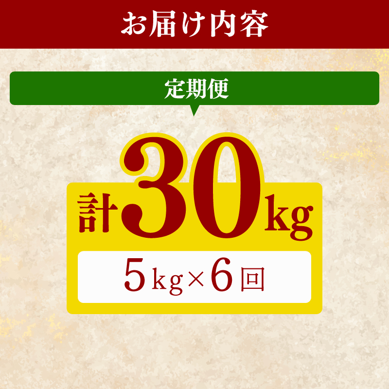 【令和7年産】 米 こしひかり 5kg 定期便 6ヶ月 計 30kg お米 白米 精米 コシヒカリ ごはん ご飯 高知県産 弁当 おにぎり 料理 超早場米 味わい 人気 甘み 粘り 日本国内 食べられる 温暖 気候 収穫 栽培 全国 消費地 寄付 翌月 連続 発送 天候 状況 8月上旬 安芸市 高知県