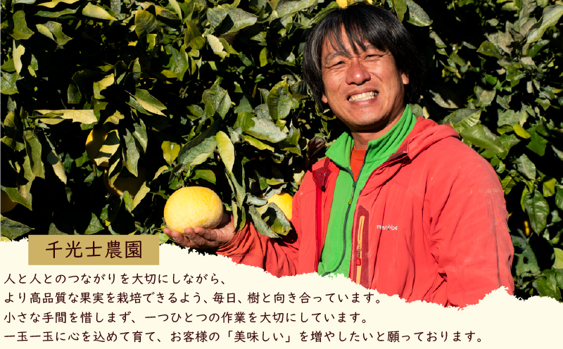 【R8年発送】 土佐文旦 L~4L 約5kg 訳あり フルーツ 柑橘 ぶんたん 特産品 高知県産 家庭用 果物 ジューシー 爽やか 酸味 甘み 芳香 2月 3月 4月 熟成 贈答用 ギフト 旬 季節限定 千光士農園 安芸市 高知県