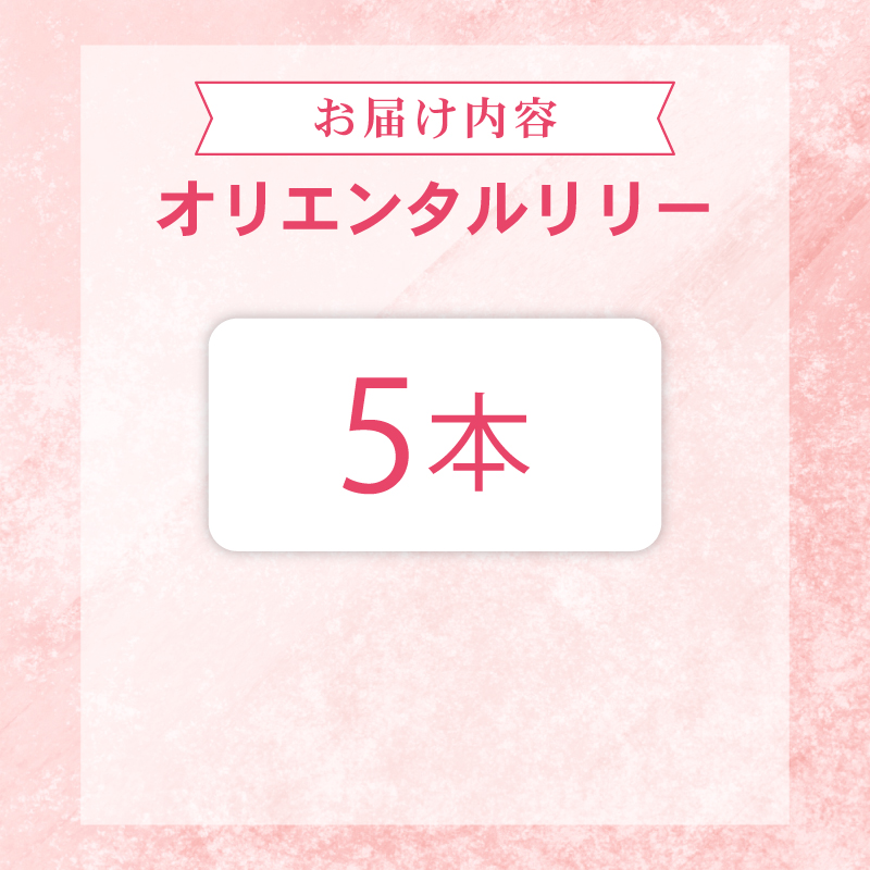 ユリ オリエンタルリリー 5本セット