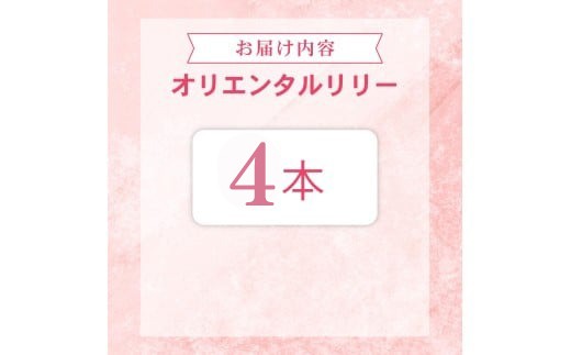 ユリ オリエンタルリリー 4本セット