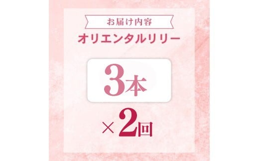 定期便2回 ユリ オリエンタルリリー 3本