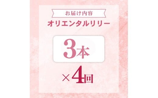 定期便4回 ユリ オリエンタルリリー 3本