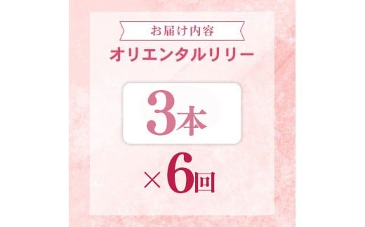 定期便6回 ユリ オリエンタルリリー 3本