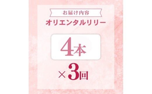 定期便3回 ユリ オリエンタルリリー 4本
