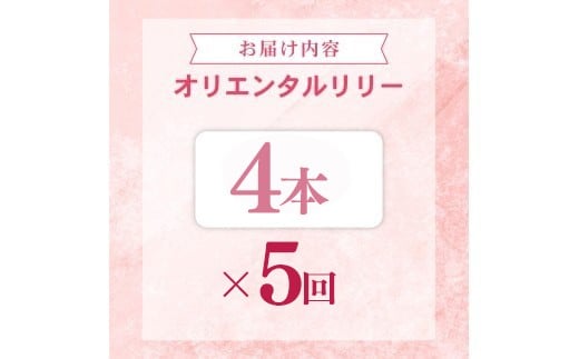定期便5回 ユリ オリエンタルリリー 4本