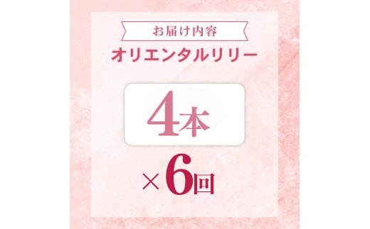 定期便6回 ユリ オリエンタルリリー 4本
