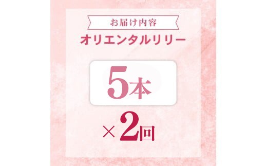 定期便2回 ユリ オリエンタルリリー 5本