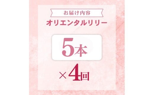 定期便4回 ユリ オリエンタルリリー 5本