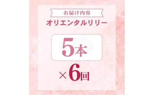 定期便6回 ユリ オリエンタルリリー 5本