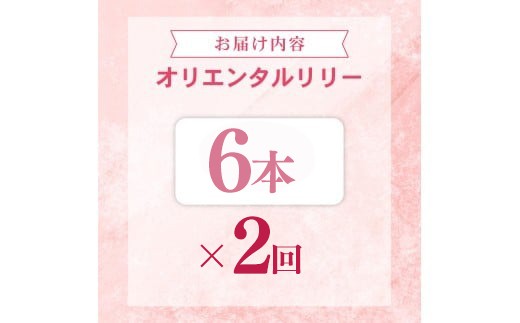 定期便2回 ユリ オリエンタルリリー 6本