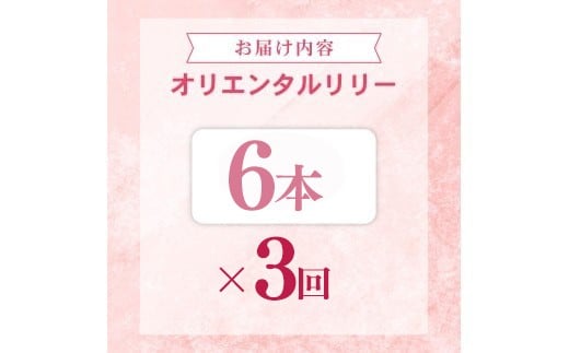 定期便3回 ユリ オリエンタルリリー 6本