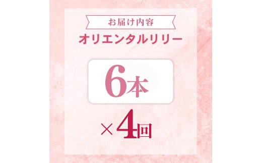 定期便4回 ユリ オリエンタルリリー 6本