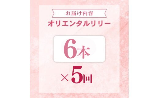 定期便5回 ユリ オリエンタルリリー 6本