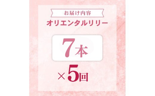 定期便5回 ユリ オリエンタルリリー 7本