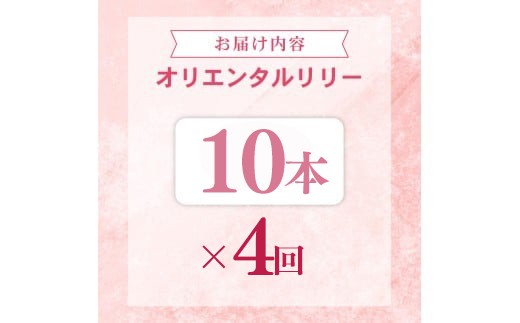 定期便4回 ユリ オリエンタルリリー 10本
