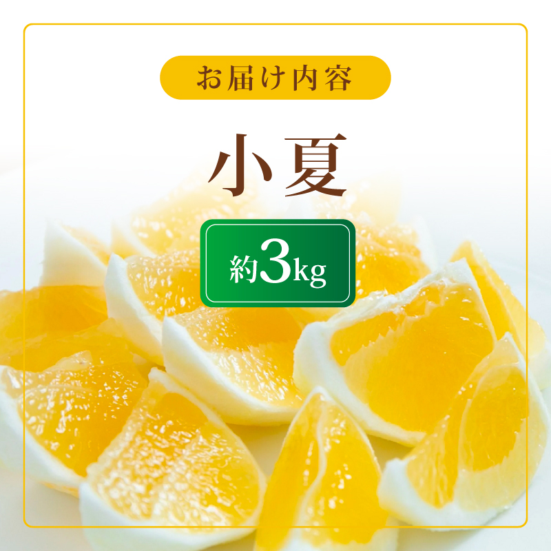 【先行予約】【令和8年さん】 メリーガーデンの小夏 3kg 果物 みかん 期間限定 旬 柑橘