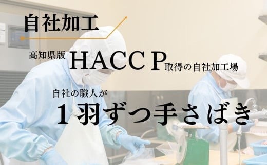 【ふるさと納税 ごちそうアワード2025 準大賞】  地鶏 土佐ジロー 尽くし セット