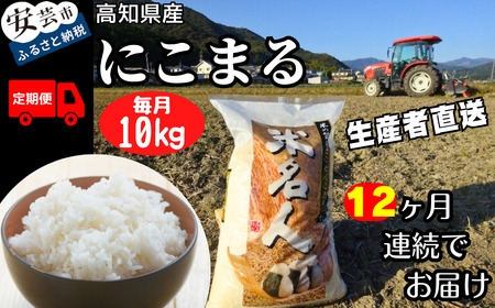 令和8年産 にこまる 白米 12ヵ月連続 定期便 10kg × 12回 120kg