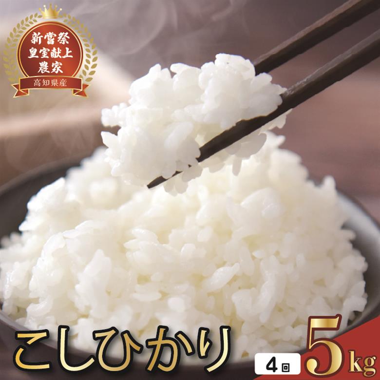 令和8年産 コシヒカリ 白米 4ヵ月連続 定期便 5kg × 4回 20kg