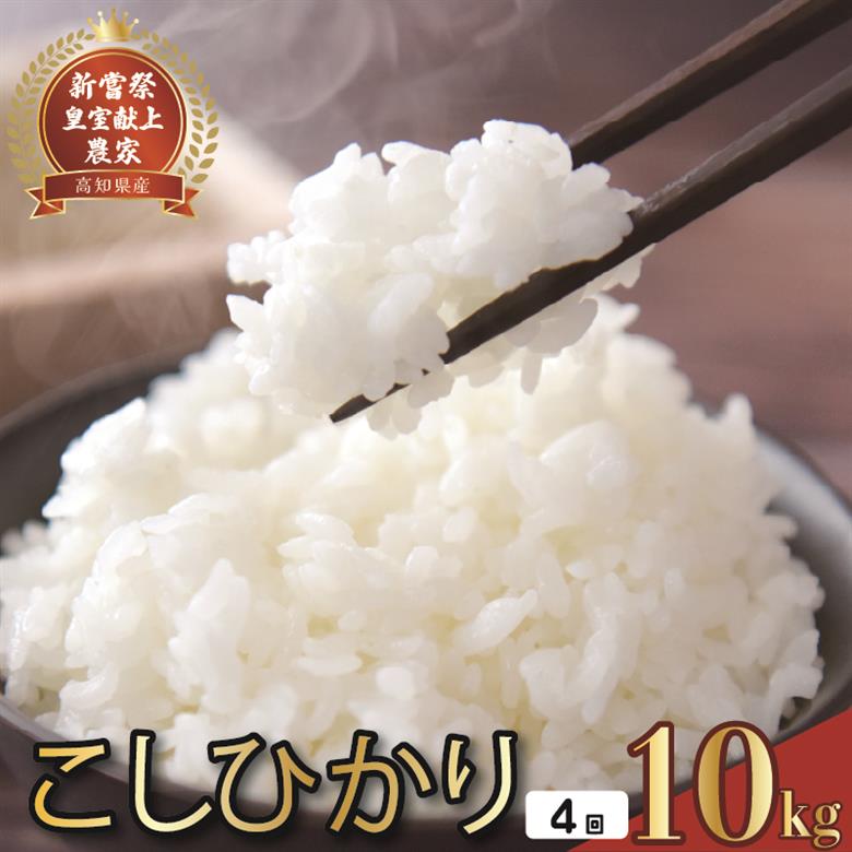 令和8年産 コシヒカリ 白米 4ヵ月連続 定期便 10kg × 4回 40kg