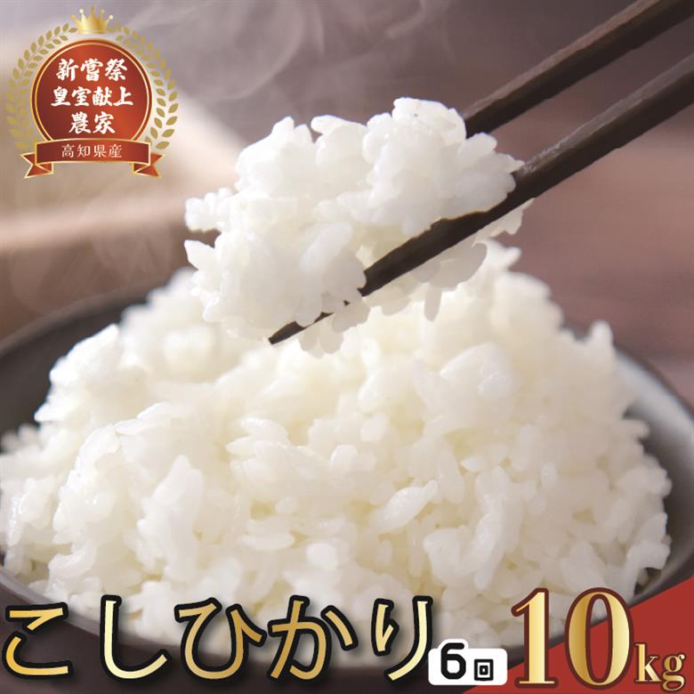 令和8年産 コシヒカリ 白米 6ヵ月連続 定期便 10kg × 6回 60kg