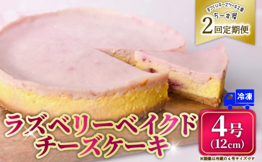 2回 定期便 ラズベリーベイクド チーズケーキ 4号 12cm 冷凍 スイーツ デザート ケーキ ベリー 洋菓子 お菓子 おやつ 手作り お取り寄せ ご褒美 ギフト プレゼント 贈り物 誕生日 記念日 パーティー 濃厚 クリーミー 酸味 爽やか サワークリーム クッキー バター 専門店 チーズケーキ工房 ちーず屋 数量限定 人気 おすすめ ランキング 2ヶ月連続 頒布会 高知県 安芸市