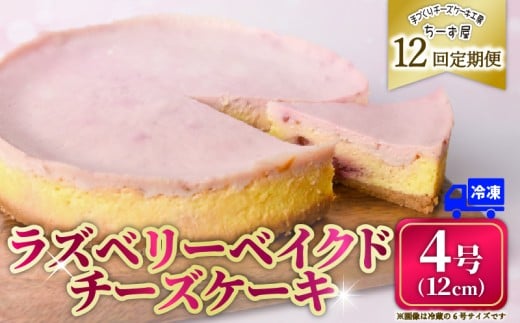 12回 定期便 ラズベリーベイクド チーズケーキ 4号 12cm 冷凍 スイーツ デザート ケーキ ベリー 洋菓子 お菓子 おやつ 手作り お取り寄せ ご褒美 ギフト プレゼント 贈り物 誕生日 記念日 パーティー 濃厚 クリーミー 酸味 爽やか サワークリーム クッキー バター 専門店 チーズケーキ工房 ちーず屋 数量限定 人気 おすすめ ランキング 12ヶ月連続 頒布会 高知県 安芸市