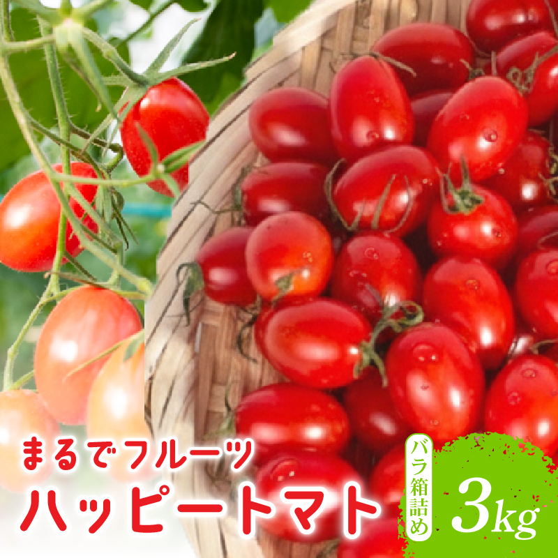 【先行予約】 ハッピートマト 3kg トマト フルーツトマト 野菜 糖度 とまと