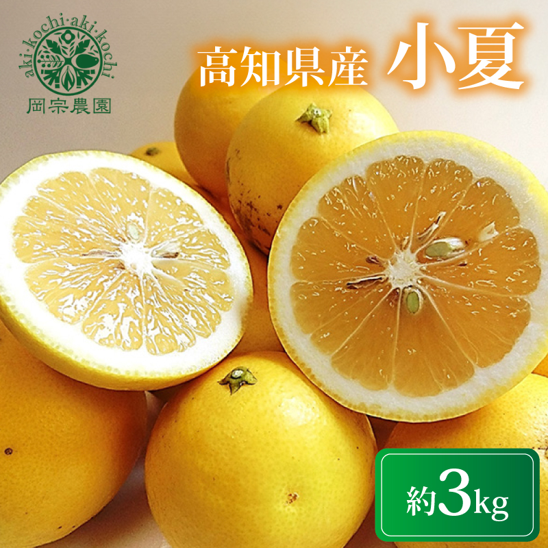 【先行予約】【令和8年さん】 メリーガーデンの小夏 3kg 果物 みかん 期間限定 旬 柑橘