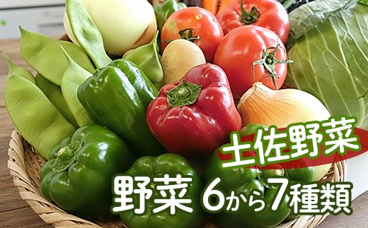 「安芸ブランド」新鮮お野菜詰め合わせセット 6〜7種類