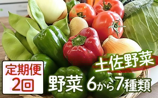 定期便2回「安芸ブランド」新鮮お野菜詰め合わせセット 6〜7種類