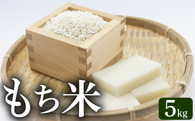 先行予約 令和8年度産 もち米 5kg