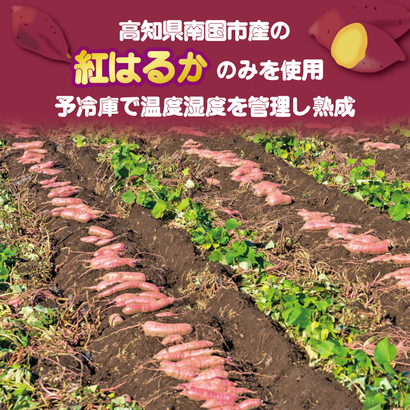 高知名物 いも天 いもスティック 冷凍焼き芋 セット 健康 美容 整腸 いも 芋 おやつ お菓子 食物繊維 サツマイモ 天ぷら 紅はるか おいも お芋 冷凍 高知県 南国市
