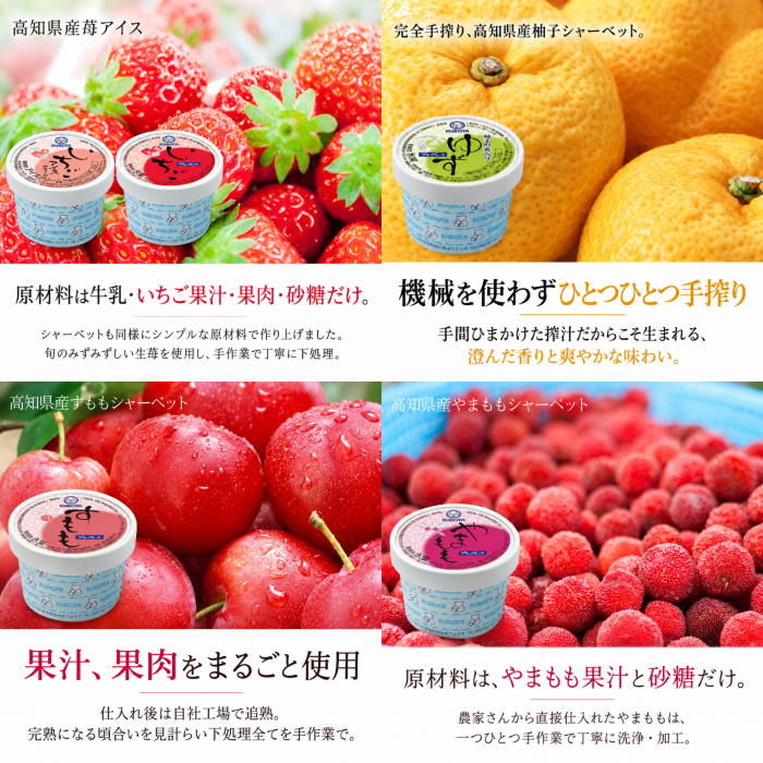 久保田食品 アイス セット D 12個 | クリーム カップアイス アイスクリン 詰め合わせ 食べ比べ スイーツ ジェラート シャーベット 無添加 土佐ジロー すもも やまもも 柚子 苺 いちご バニラ 抹茶 ラムレーズン チョコレート 碁石茶 ごま ギフト 人気 おすすめ 贈答 国産 高知県 南国市