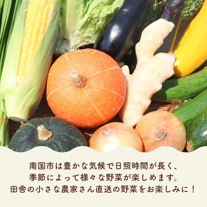 【毎月お届け 全6回コース】南国土佐の季節の野菜詰め合せセット