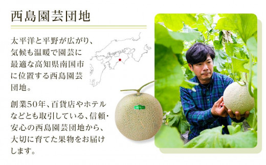 高知県南国市産／贈答用マスクメロン（2個）【メロン フルーツ くだもの デザート 高評価 厳選 高級 ギフト 贈り物 人気 おすすめ】【メロン マスクメロン フルーツ 果物 くだもの 食品 デザート 高評価 厳選 高級 ギフト 贈り物 人気 おすすめ 】