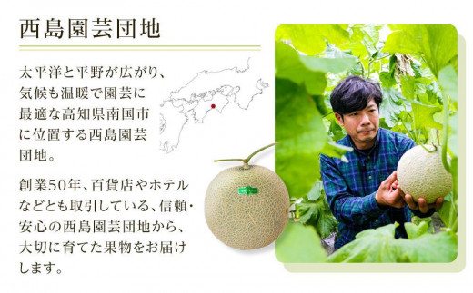 高知県南国市産／厳選桐箱入りマスクメロン（2個）【メロン フルーツ くだもの デザート 高評価 厳選 高級 ギフト 贈り物 人気 おすすめ】【メロン マスクメロン フルーツ 果物 くだもの 食品 デザート 高評価 厳選 高級 ギフト 贈り物 人気 おすすめ 】