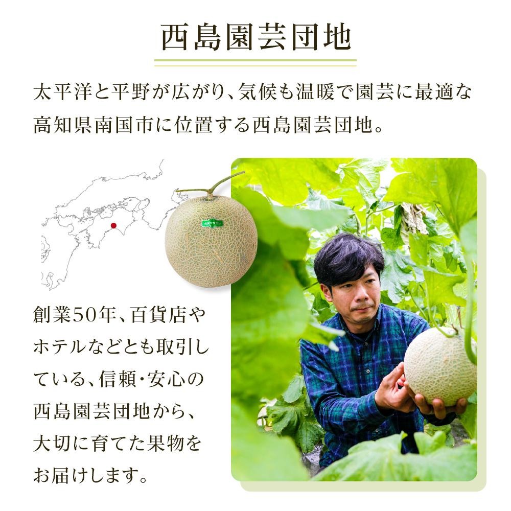 家庭用 メロン 1玉 | マスクメロン 1個 フルーツ 果物 厳選 高級 青肉メロン 人気 デザート ギフト プレゼント 贈り物 くだもの 旬 お取り寄せ 訳アリメロン 甘い 青肉 メロン 高糖度メロン 訳あり 産地直送メロン 訳ありメロン 1万円 10000 万円 高知県 南国市