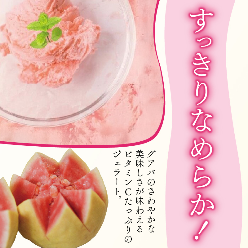 有機グアバ農園のなめらかジェラート 計12個