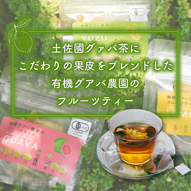 フルーツティーはじめてセット