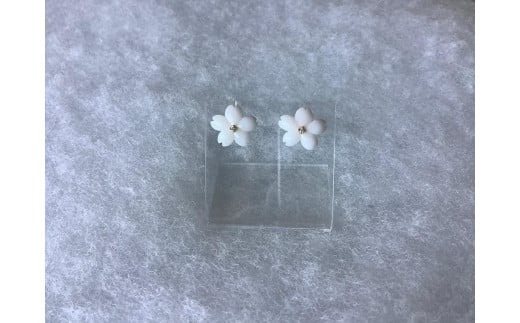 桜ドロップ　ピアス／白珊瑚