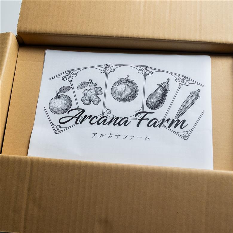 【3回定期便】こだわりの新鮮野菜セット 8~11品目 | 野菜セット 新鮮 野菜 人気 季節の野菜 おすすめ 高知県 南国市