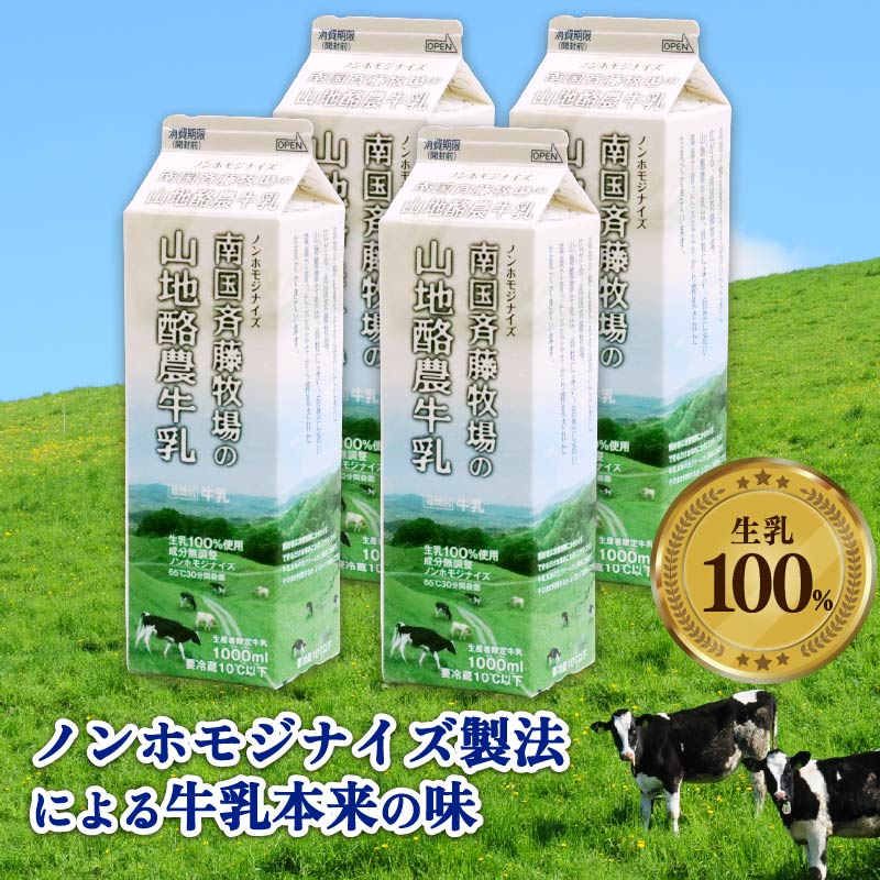【12か月定期便】山地酪農牛乳1L×4本 【バターができる 低温殺菌 生乳100％ 成分無調整牛乳 ノンホモジナイズ製法 お菓子作り ぎゅうにゅう ミルク 南国斉藤牧場 高知県 南国市】