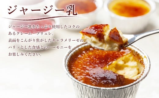 アイスブリュレセットA（キャラメル）【プリン おやつ お菓子 スイーツ スウィーツ 贈答 贈り物 ギフト  人気 おすすめ 高知県 南国市】