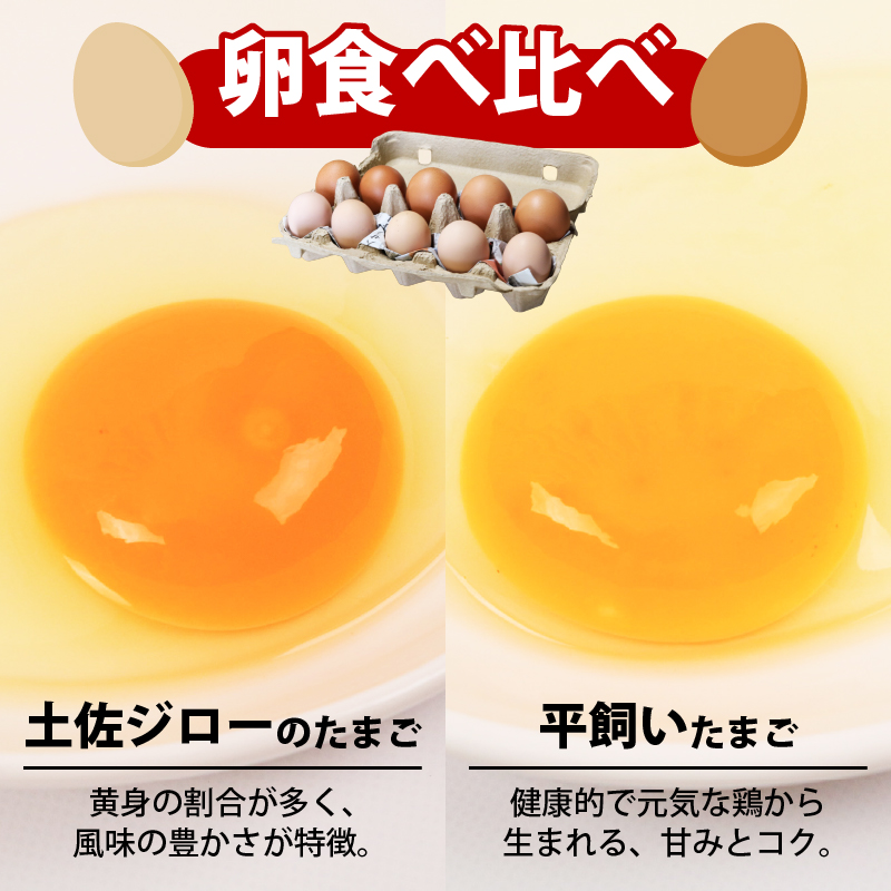 土佐ジローの卵と平飼い卵 セット 各5個(10個×1パック) 合計10個 | たまごのおくだ 新鮮 土佐ジロー 平飼い 卵 たまご 10個 鶏卵 卵黄 エッグ たまごかけ ご飯 玉子 タマゴ 玉子焼き たまご焼き すき焼き 鶏 ケーキ セット 2種 食べ比べ 産地直送 国産 ふるさと納税 高知県 南国市